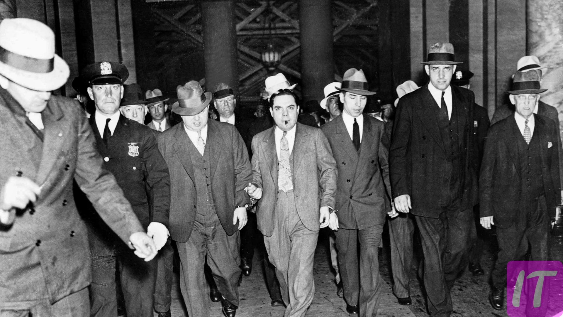 What Is The History Of The Formation Of The Mafia Group? What Business Do They Do?